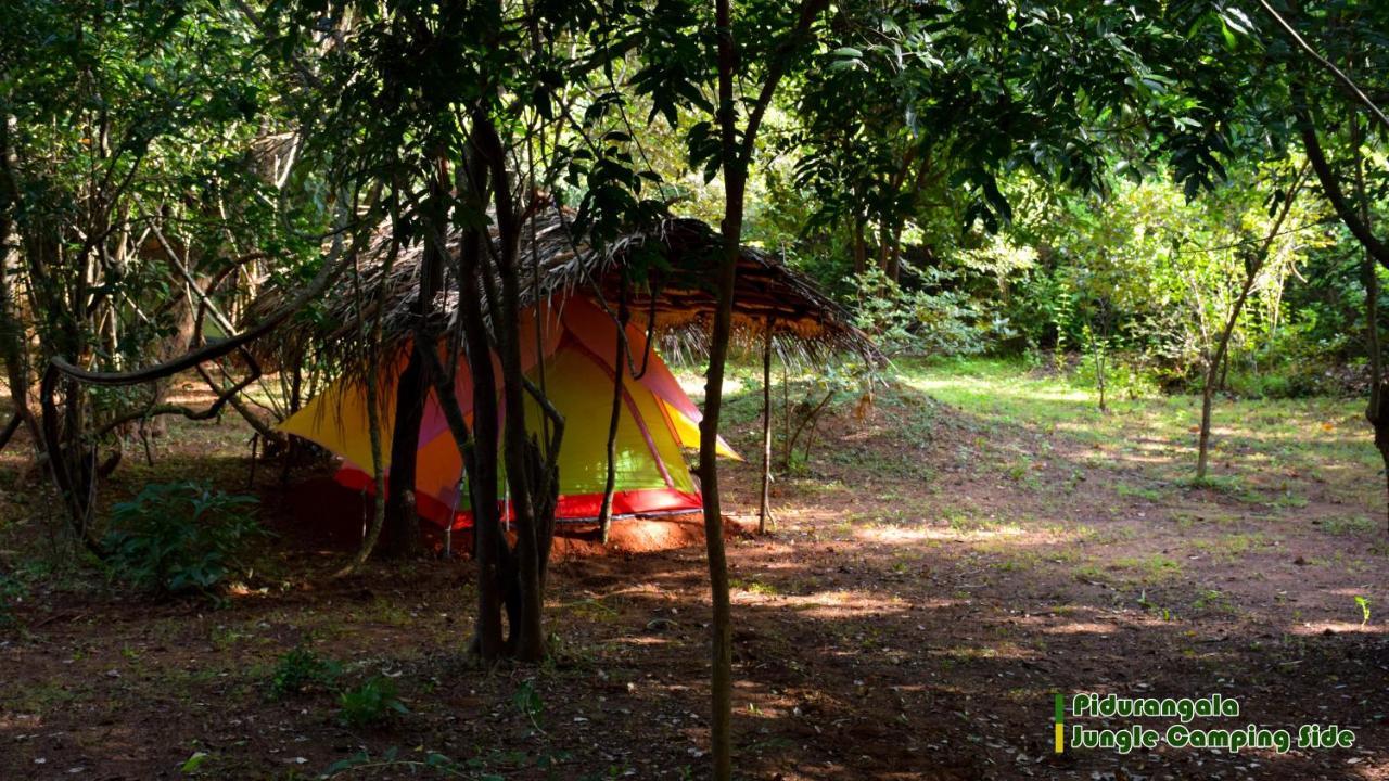 Sigiri Jungle Camping Otel Sigiriya Dış mekan fotoğraf